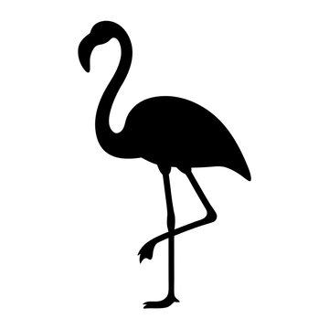 Elegant flamingo silhouette standing gracefully on one leg against a white background