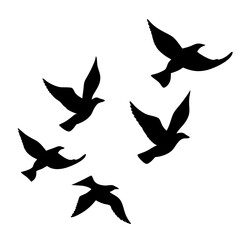 Silhouette of a Flock of Birds Flying in the Sky Gracefully