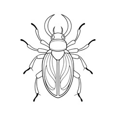 Realistic Beetle Outline Line Art Vector Art