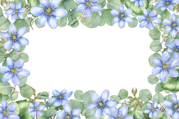 Fototapeta premium Hepatica blooms and eucalyptus branches watercolor rectangular frame with empty space for custom text. Floral border for wedding announcements, elegant invitations, or personalized greeting card