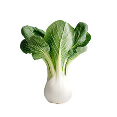 Fresh Bok Choy PNG Isolated Green Leafy Vegetable on Transparent Background