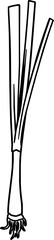 Line Drawing Of A Single Leek With Roots