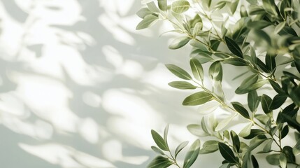 Closeup of lush green foliage with vibrant natural leaves and elegant organic patterns  Beautiful botanical background with a tranquil serene and calming aesthetic  Ideal for nature wellness beauty