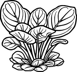 Lush Green Foliage A Detailed Botanical Illustration