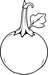 Simple Line Drawing Of A Single Round Eggplant