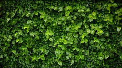 Obraz premium Green leaves environment on wall texture beautiful pattern background. AI generated image