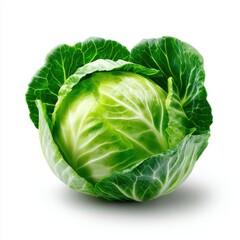 Fototapeta premium Fresh green cabbage isolated on white background. for culinary and dietary use.