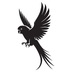 Perched Parakeet silhouette with alert gaze – Parakeet illustration – Minimalist Parakeet vector – Bird silhouette

