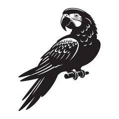 Bright-Eyed Parrot silhouette in vibrant colors – Parrot illustration – Minimalist Parrot vector – Bird silhouette

