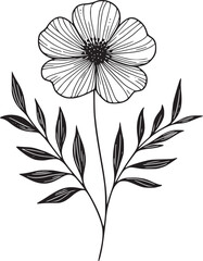 Line drawing of various flowers vector, clipart, transparent, png, element