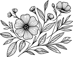 Line drawing of various flowers vector, clipart, transparent, png, element