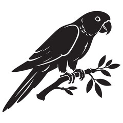 Tropical Beauty in Parrot silhouette – Parrot illustration – Minimalist Parrot vector – Bird silhouette

