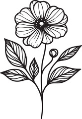 Line drawing of various flowers vector, clipart, transparent, png, element