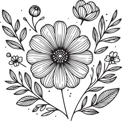 Line drawing of various flowers vector, clipart, transparent, png, element
