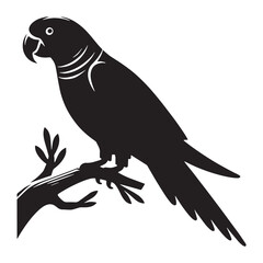 Graceful Parrot silhouette, perched and poised – Parrot illustration – Minimalist Parrot vector – Bird silhouette


