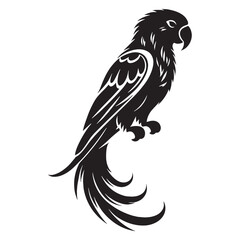 Vibrant Parrot silhouette, feathers on display – Parrot illustration – Minimalist Parrot vector – Bird silhouette

