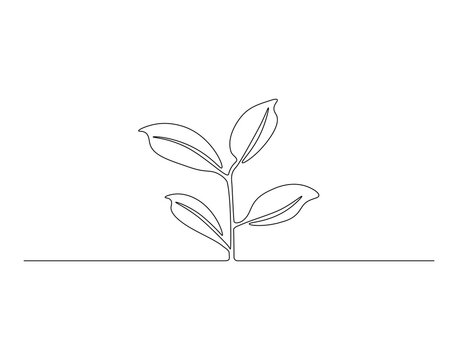 Little plant sprout outline drawing illustration. Continuous line draw of international day for biological diversity vector