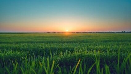 Beautiful landscape of a grassy field under a bright sky