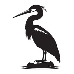 Silhouette of Pelican soaring with elegance – Pelican illustration – Minimalist Pelican vector – Bird silhouette

