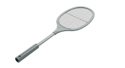 Isolated Fly Swatter