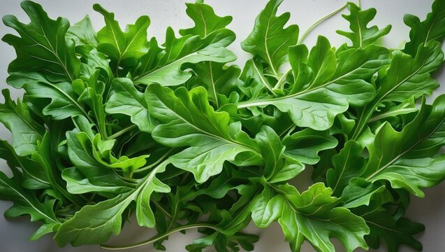 Surface view of fresh green leaves of rocket salad, commonly used in culinary dishes.