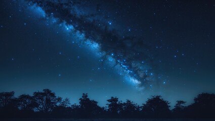 Fototapeta premium Grainy long exposure image of Milky Way and tree silhouette at National Park