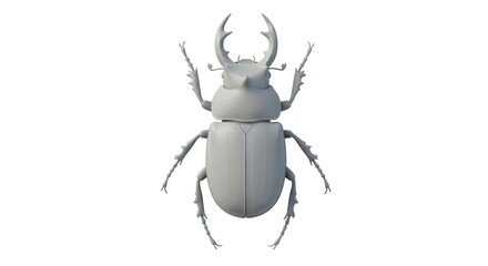 Isolated Stag Beetle