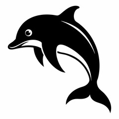 dolphin isolated on white background