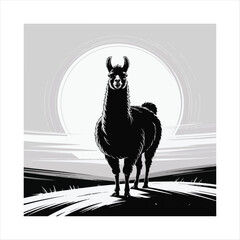 black and white lama 