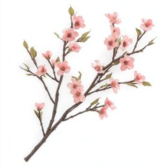 Obraz premium Studio shot of a flowering dogwood branch against a white background; delicate pink blossoms and small green leaves create a soft, elegant aesthetic