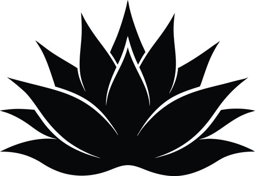 recommend clip art: Agave plant silhouette vector, aloe vera silhouette, aloe vera icon