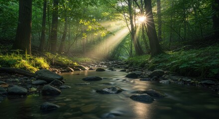 Fototapeta premium Sun rays through forest with stream flowing over rocks, use for backgrounds, nature photography and travel blogs