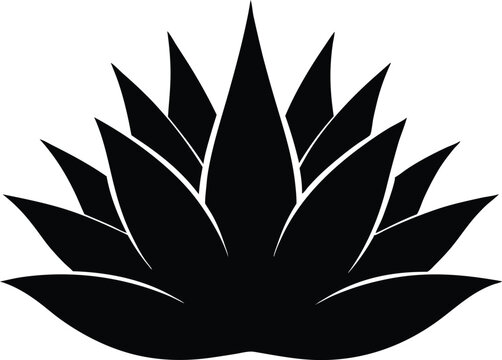 recommend clip art: Agave plant silhouette vector, aloe vera silhouette, aloe vera icon