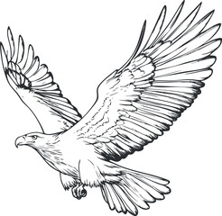 Detailed black and white illustration of an eagle in flight with wings spread wide