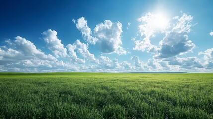 Sunny day above grassy field with a vibrant blue sky filled with fluffy white clouds
