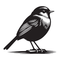 Dawn Song Robin silhouette singing – Robin illustration – Minimalist Robin vector – Bird silhouette

