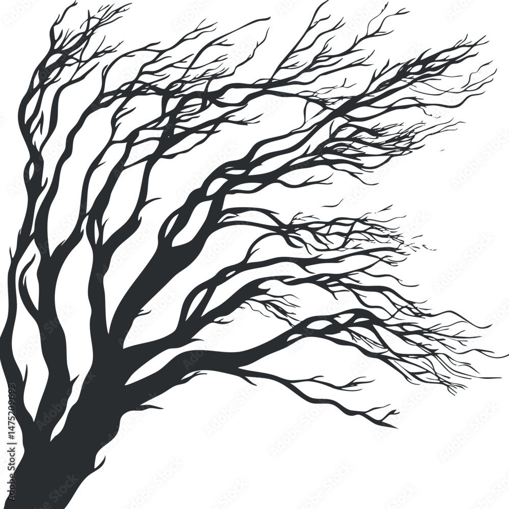 Poster silhouette of a leafless tree with spindly branches spreading out on a white background