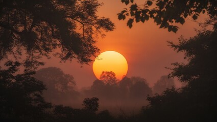 Dusk sky with amber hues behind lush trees and foliage