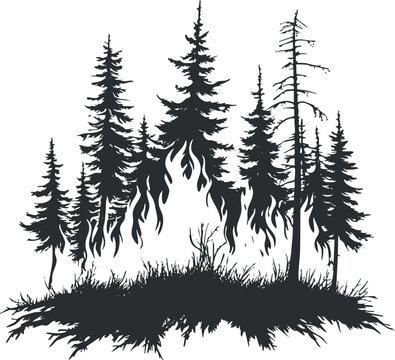 Silhouette of pine trees with fire in the forest representing wildfire and environmental destruction