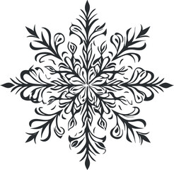 Black and white symmetrical floral ornament design with elegant leaves and abstract shapes