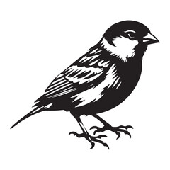 Quick and Agile Sparrow silhouette – Sparrow illustration – Minimalist Sparrow vector – Bird silhouette

