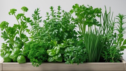 Naklejka premium Decorative herbal border with herb assortment in box against background