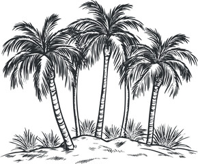 Black and white illustration of a group of palm trees on a small island with tropical vegetation