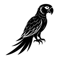 Fototapeta premium Macaw Silhouette vector