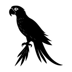 Obraz premium Macaw Silhouette vector