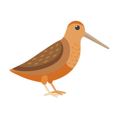 Flat illustration of a sandpiper with neutral background color