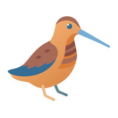 Flat graphic illustration of a stylized sandpiper bird