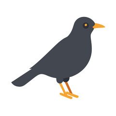 Flat vector illustration of a blackbird on a black background