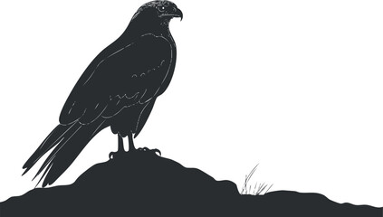 Silhouette of a bird of prey perched on a rock against a white background, showcasing wildlife and nature.