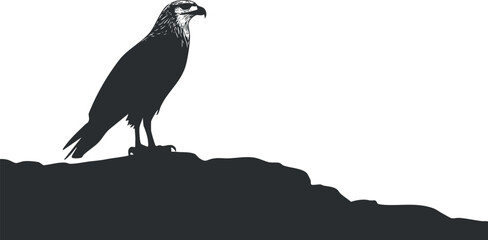 Silhouette of a majestic eagle perched on a rocky surface against a clear white background © vadymstock